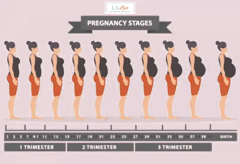 First Trimester (Weeks 1–12): Early Changes You Might Not Notice Acton Green